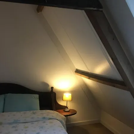 Tiny House Holland